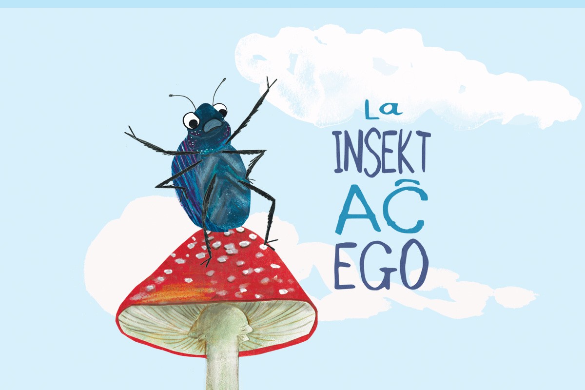 More information about "La insektaĉego"